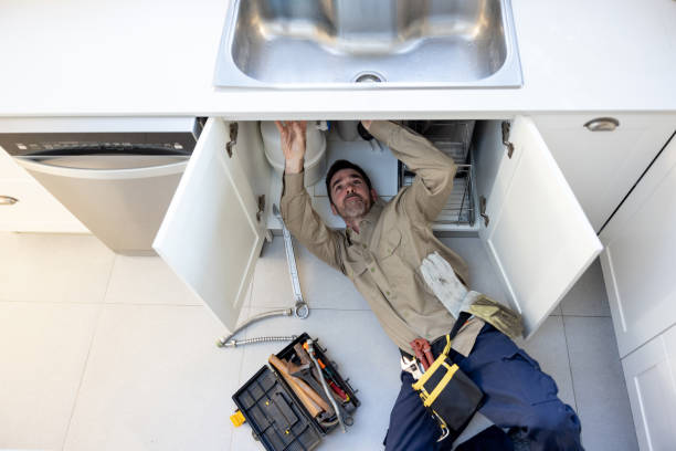 Best Clogged Drain Plumber  in Lone Tree, IA