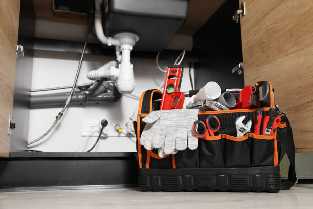 Best Plumbing Services Near Me  in Lone Tree, IA