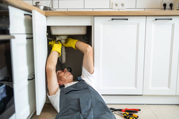 Best Boilers & Radiators  in Lone Tree, IA