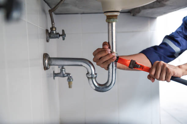  Lone Tree, IA Plumbing Pros