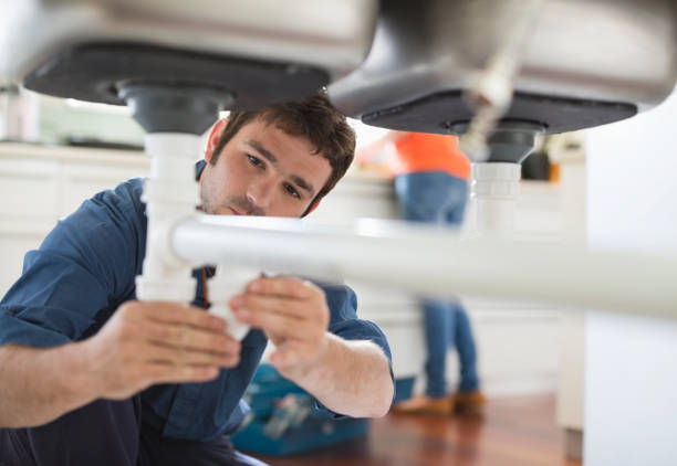 Best Plumbing Inspection Services  in Lone Tree, IA