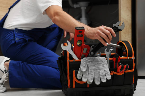 Best Best Plumbers Near Me  in Lone Tree, IA