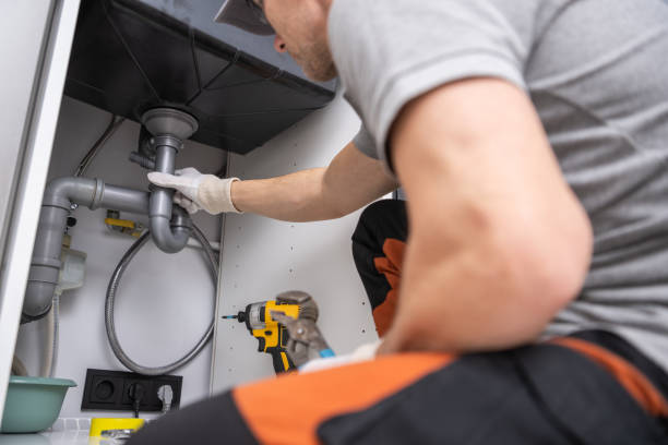 Best Same-Day Plumbing Service  in Lone Tree, IA