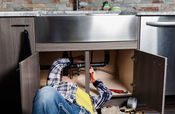 Best Toilet Repair Services  in Lone Tree, IA