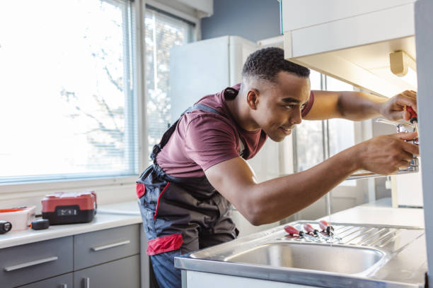 Best Affordable Plumbing Services  in Lone Tree, IA