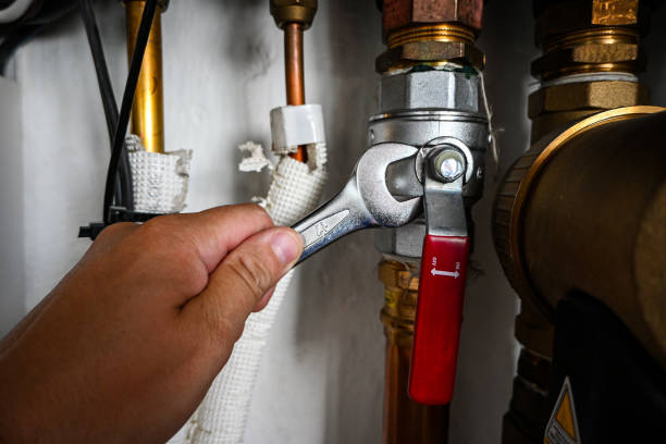 Best Sewer Cleaning Services  in Lone Tree, IA